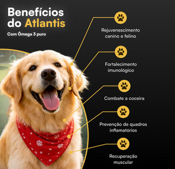 Combo Pele Saudável