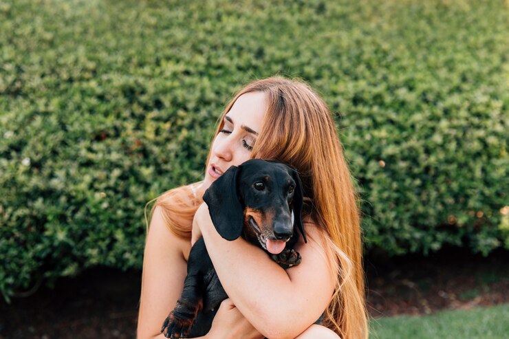 É PRECISO AMAR SEU PET EM TODAS AS FASES DA VIDA