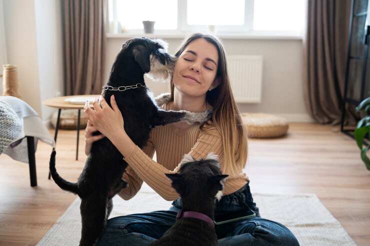 5 PROVAS QUE OS CÃES SÃO OS MELHORES AMIGOS DO HOMEM