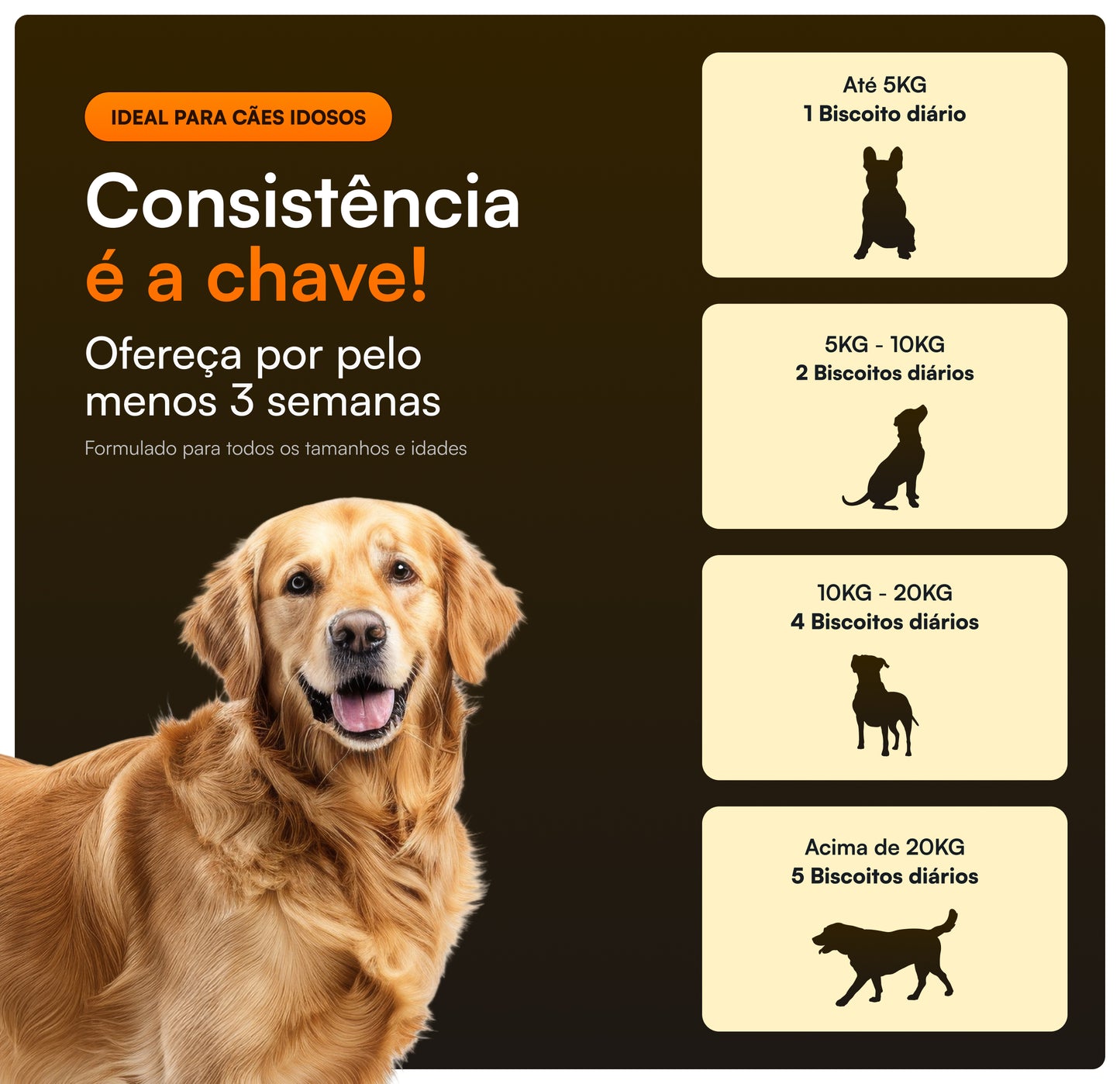 Condropure - Articulações e Mobilidade