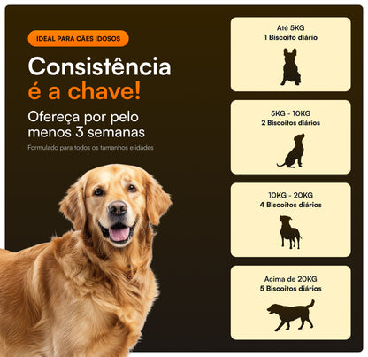 Condropure - Articulações e Mobilidade