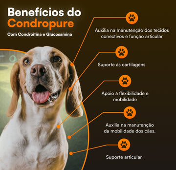 Condropure - Articulações e Mobilidade