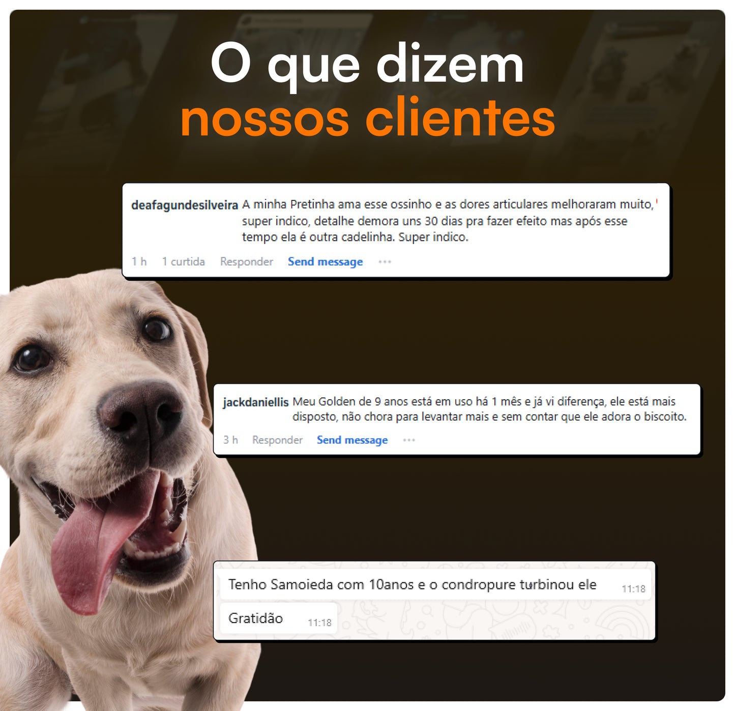 Condropure - Articulações e Mobilidade