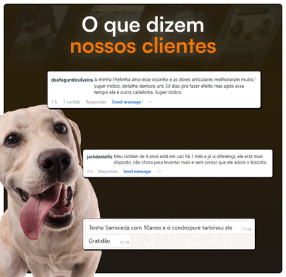 Condropure - Articulações e Mobilidade