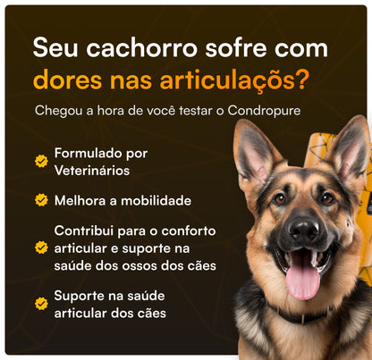 Condropure - Articulações e Mobilidade