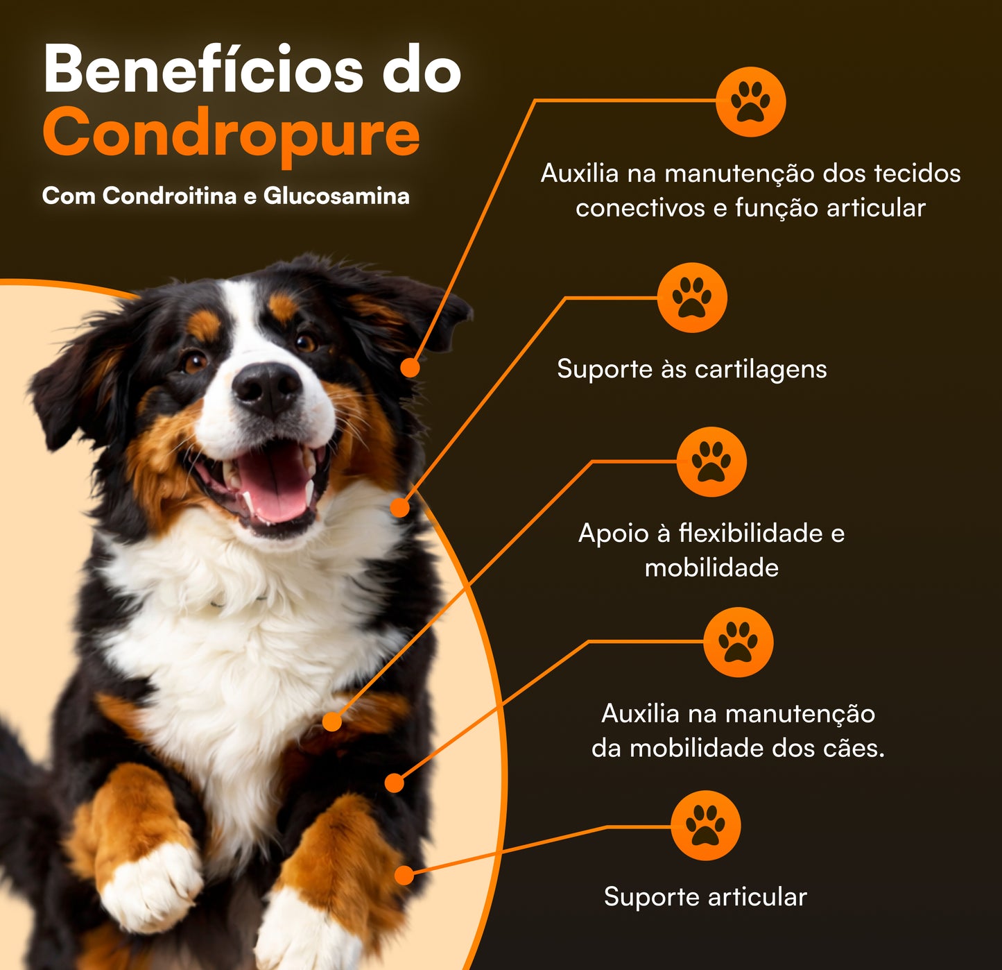 Combo Longevi + Condropure