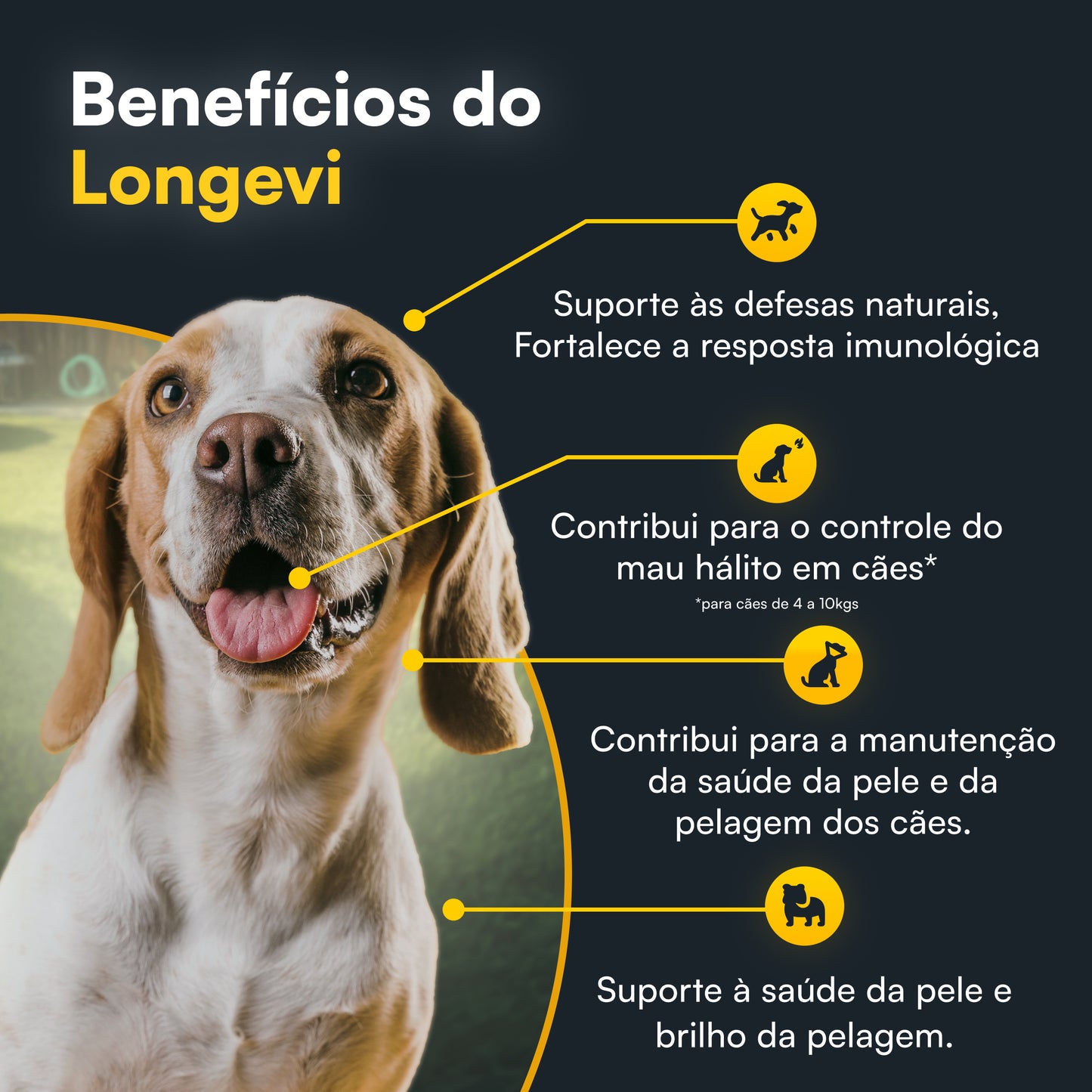 Combo Longevi + Condropure